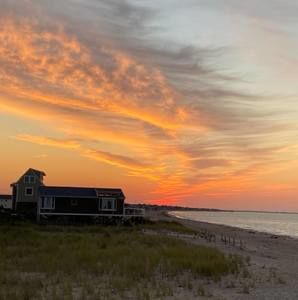 Meet your Posher, Cecelia